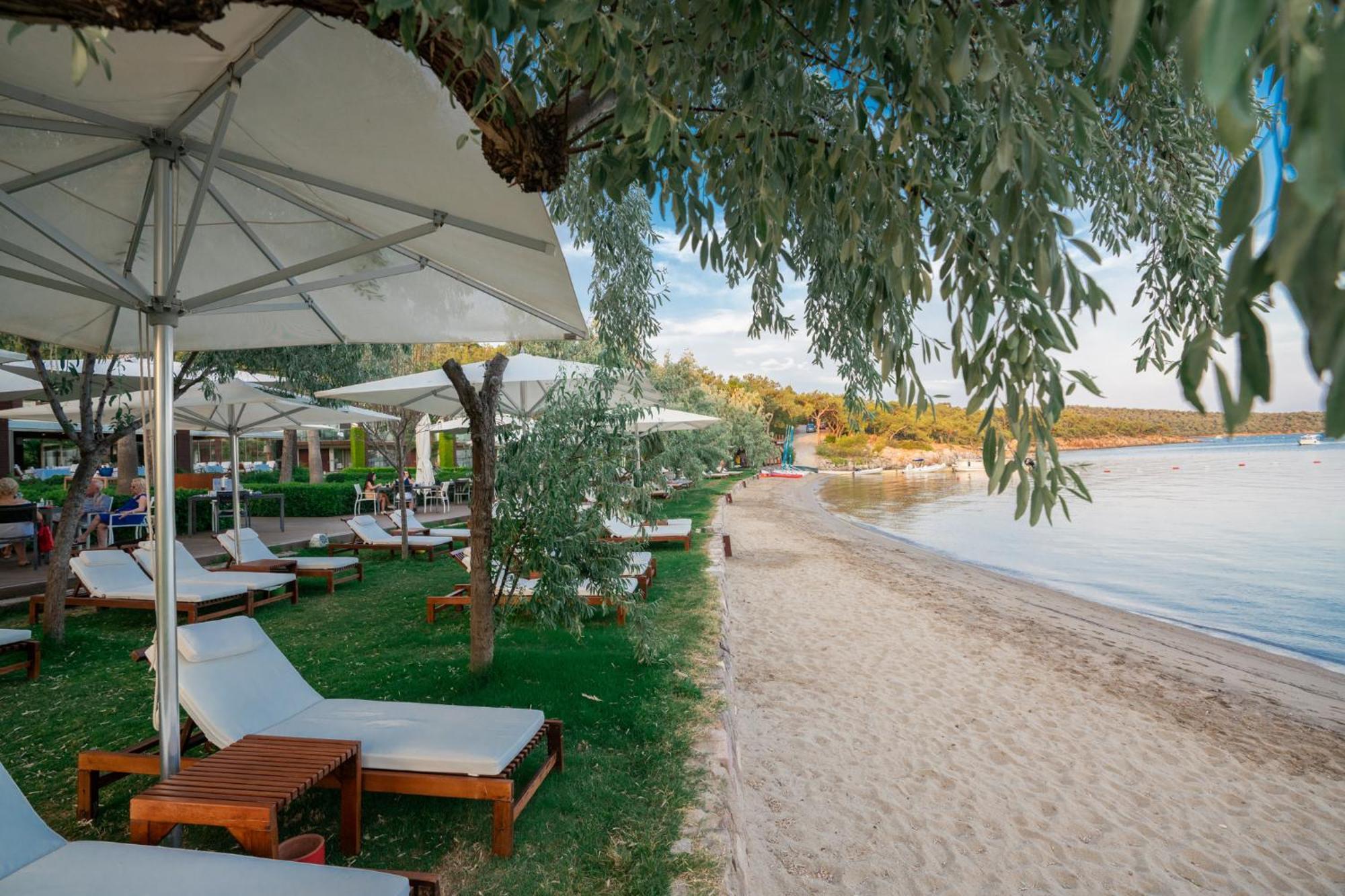 Ortunc Hotel - Cunda Island (Adults Only) Ayvalı Eksteriør billede