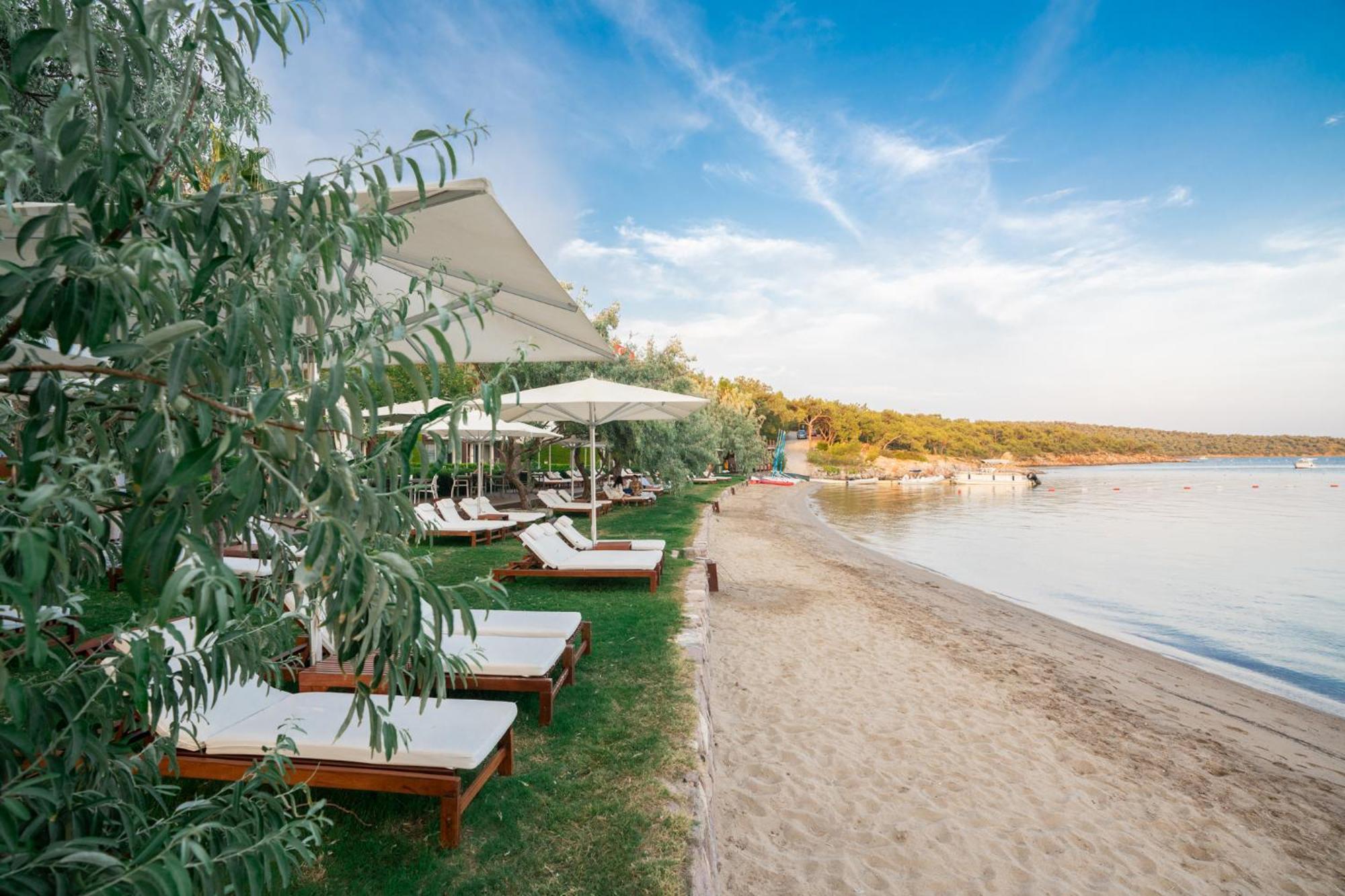 Ortunc Hotel - Cunda Island (Adults Only) Ayvalı Eksteriør billede