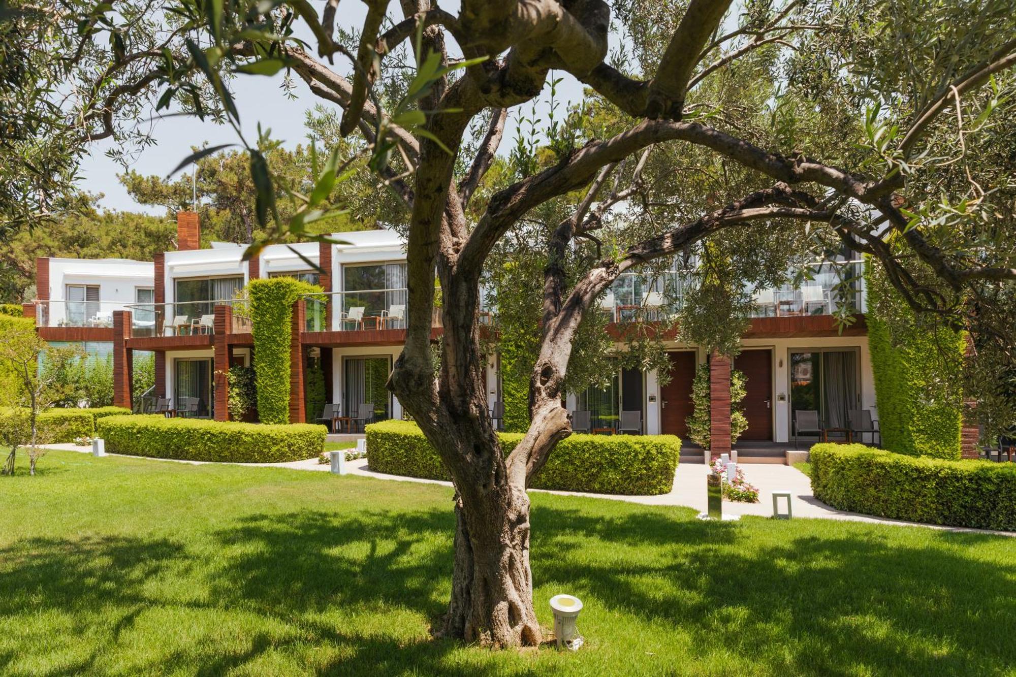 Ortunc Hotel - Cunda Island (Adults Only) Ayvalı Eksteriør billede