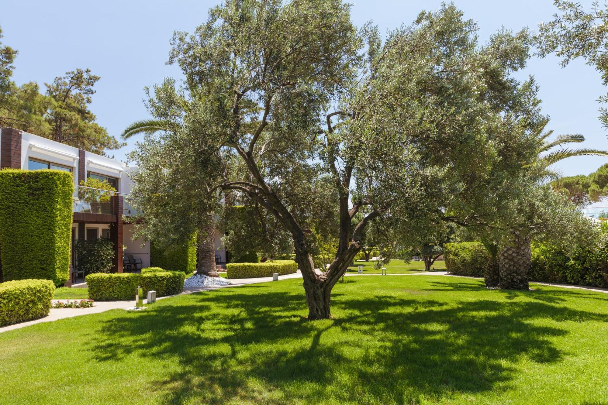 Ortunc Hotel - Cunda Island (Adults Only) Ayvalı Eksteriør billede