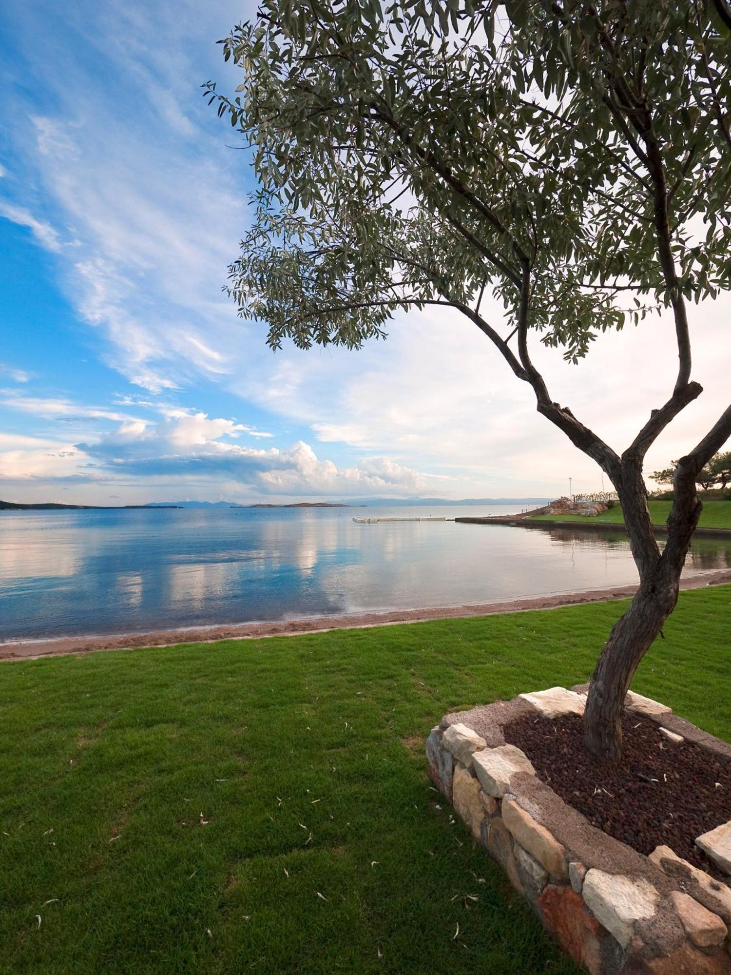 Ortunc Hotel - Cunda Island (Adults Only) Ayvalı Eksteriør billede